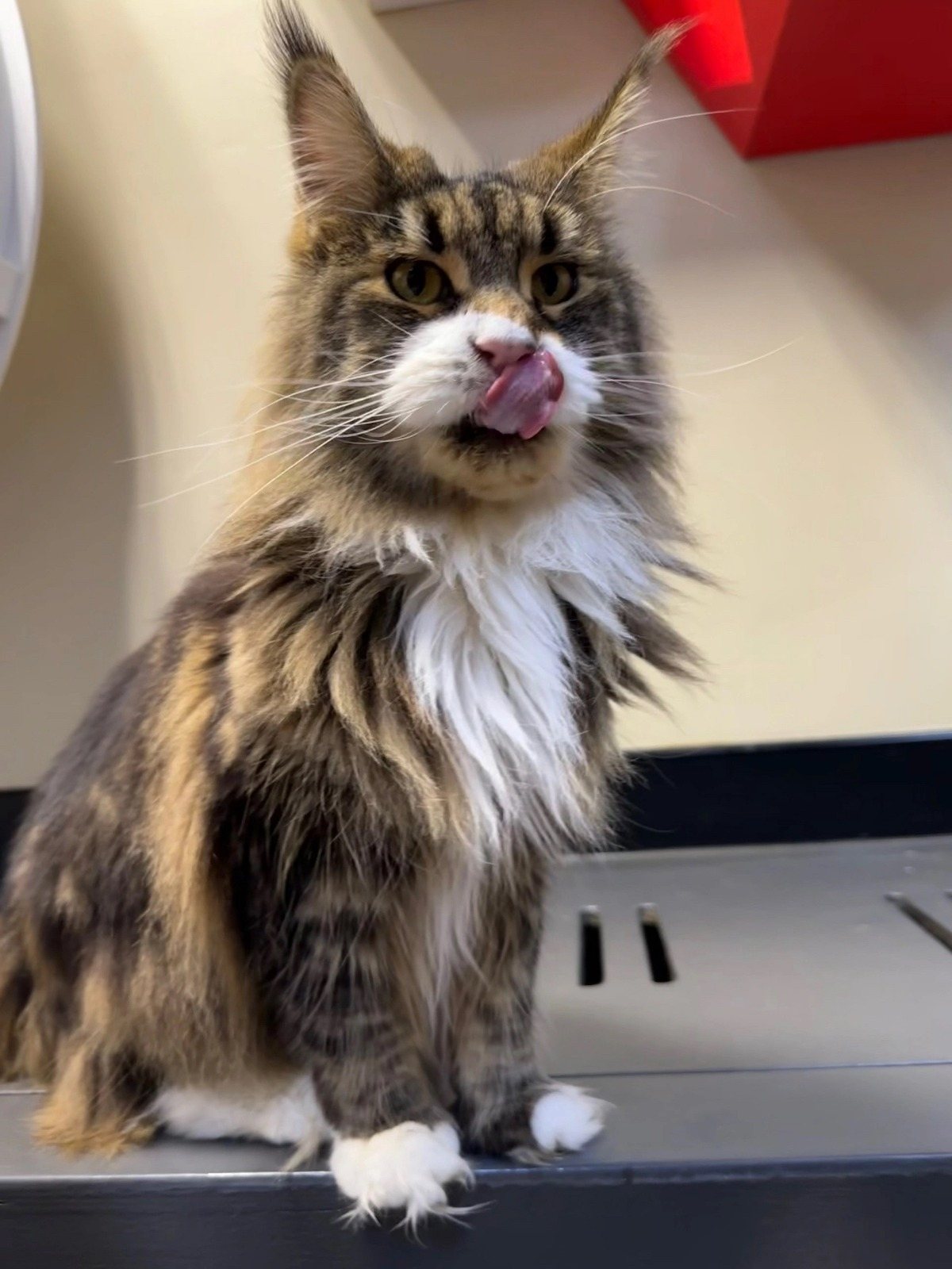 пресс-служба