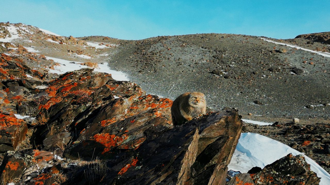 фото: пресс-служба