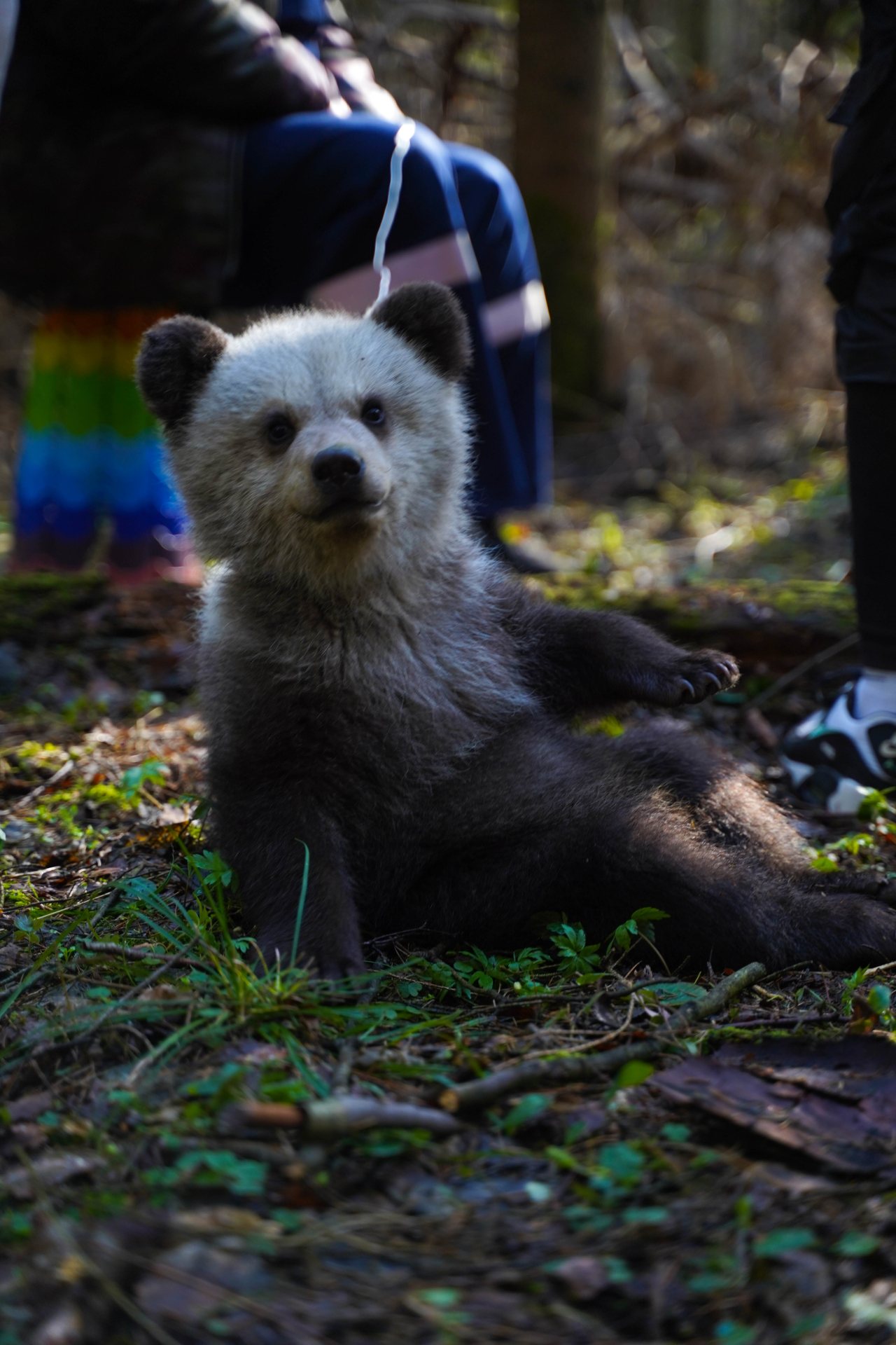пресс-служба