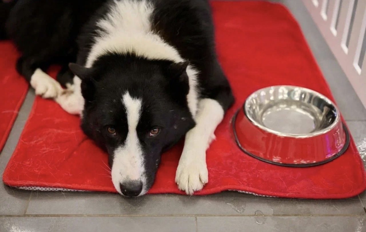 пресс-служба