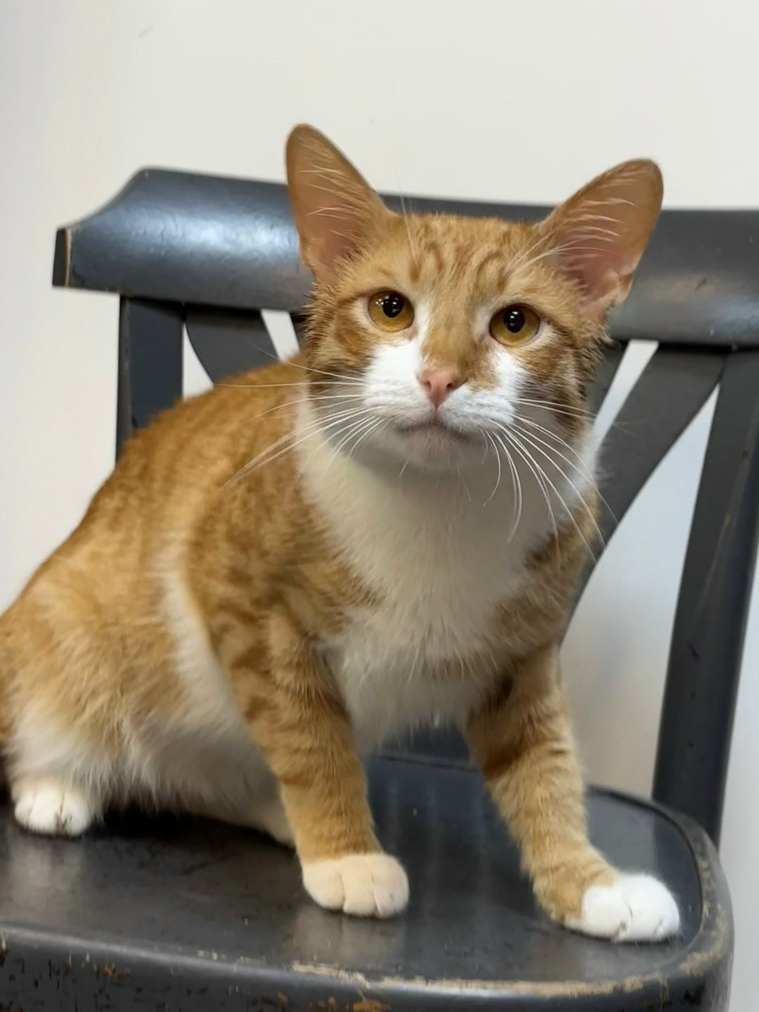 пресс-служба