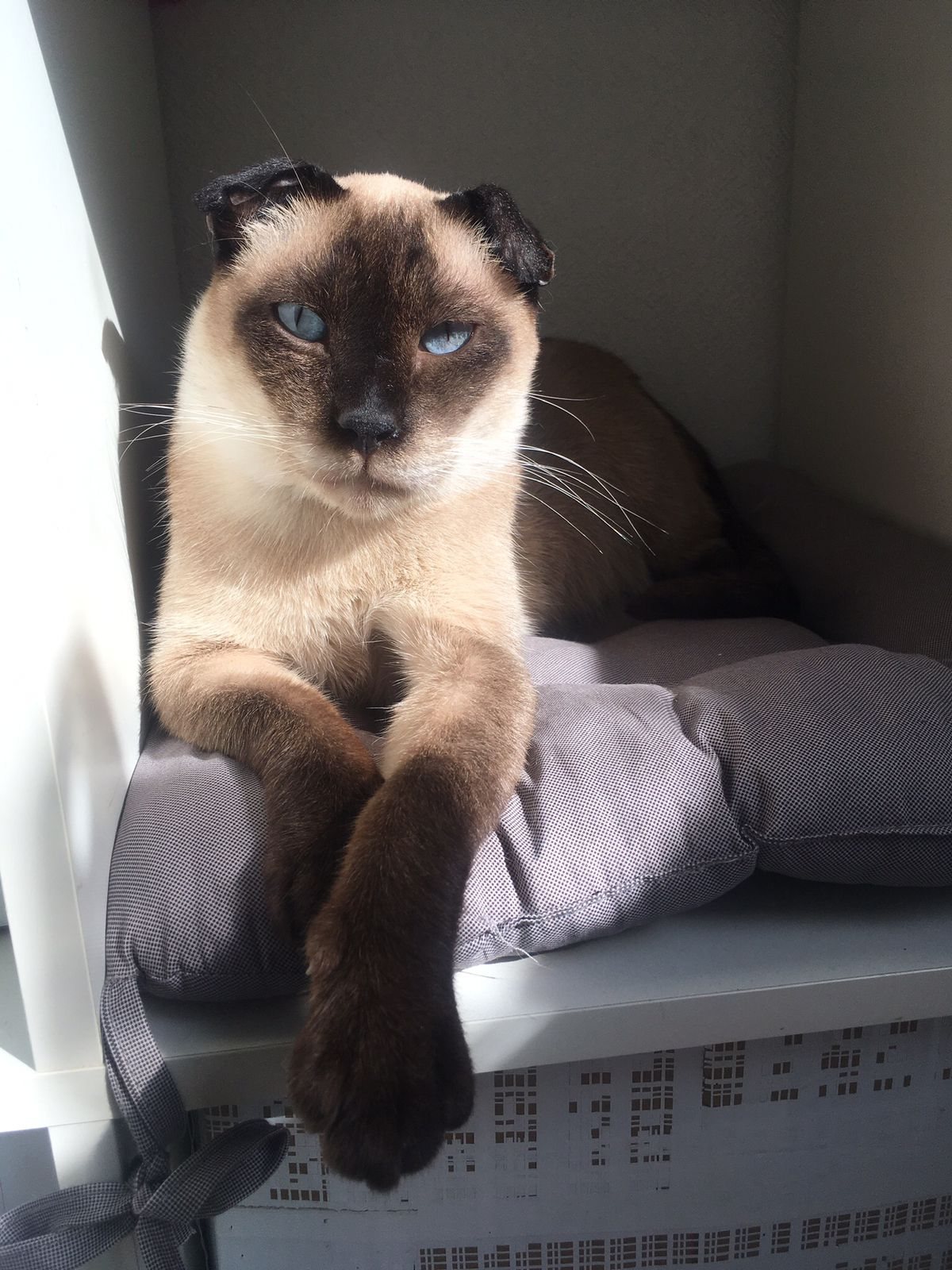 пресс-служба